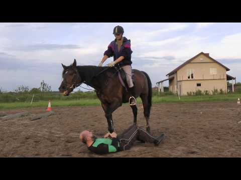Under weight of horse and rider