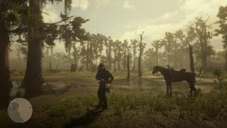 Red Dead Redemption 2 - RDR2 - QUEENS ORCHID - RARE HERB - LOCATION