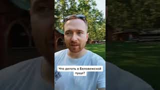 Чем заняться в Беловежской пуще?