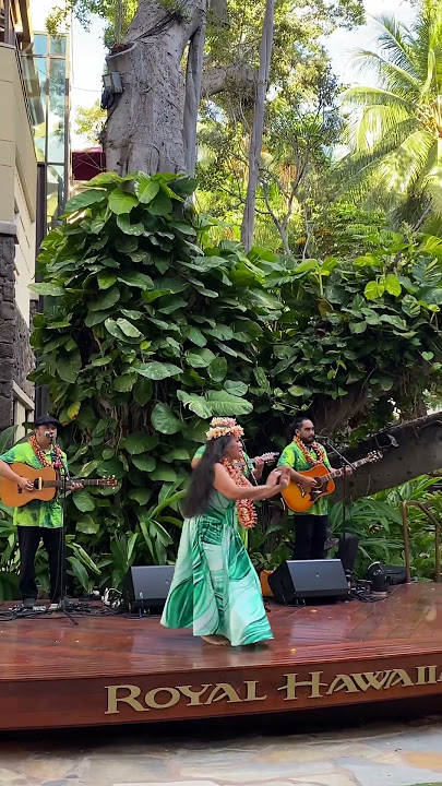 Wahine Hula #shorts #hula #waikiki #hawaiianbeach #travel #hawaii #livemusic