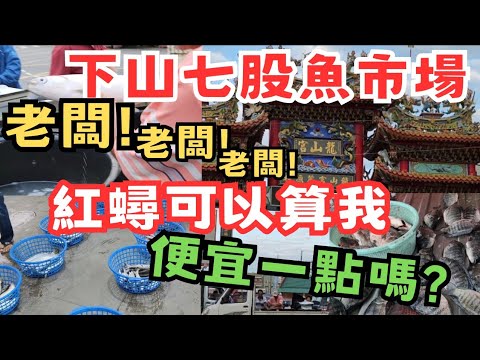 〔下山七股漁港〕下山七股漁港裡有拍賣漁獲?七股龍山宮前有新鮮又便宜的海產可以買?跟著在地人去買吧。/台語/