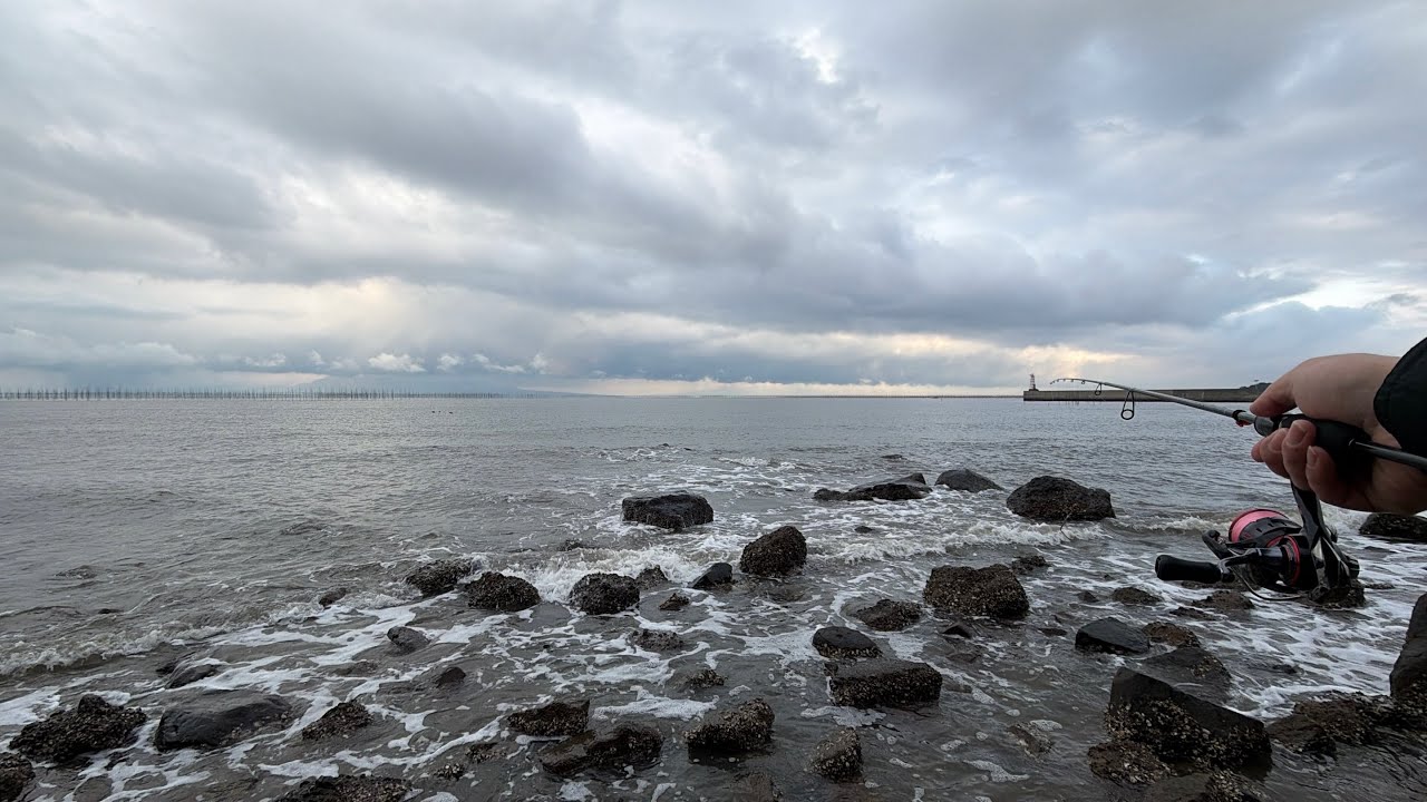 【出勤前】いつもの漁港で朝からちょっと探検！【熊本】