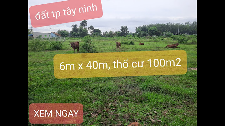 Ấp ninh trung tân bình tây ninh