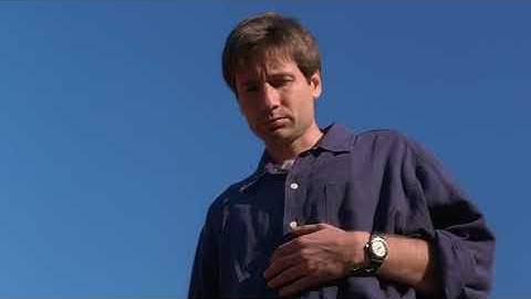 The X-Files - Mulder finds hybrids