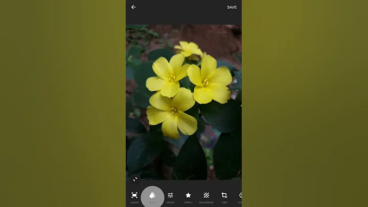 HOW MAKE ANY PHOTO BACKGROUND BLACK AND WHITE IN 1 CLICK || INSHOT TUTORIAL