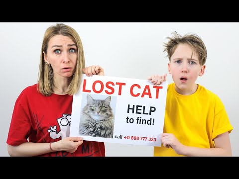 Илья и Картонка потеряли кота
