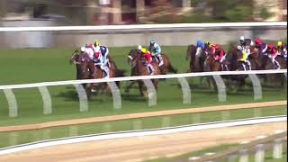 VIEWED (NZ) - 2009 CAULFIELD CUP