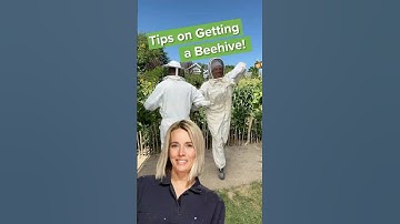 Tips on Getting a Beehive #beesearch #beekeepingtips #beehivetips