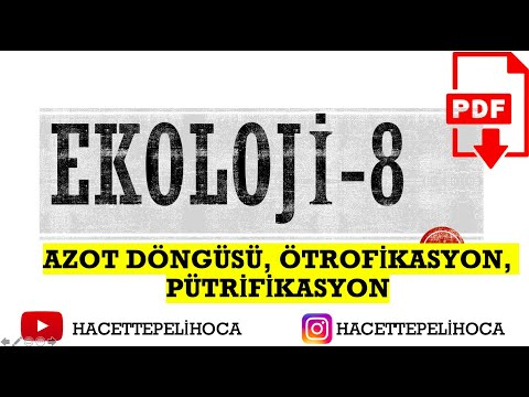 Video: Ekolojide ötrofikasyon nedir?