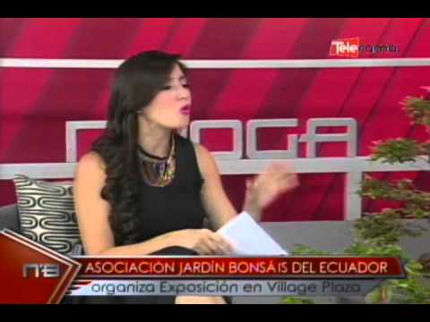 Asociación Jardín Bonsáis del Ecuador organiza Exposición en Village Plaza