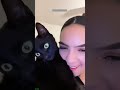Cute Animals ЁЯРХ Try Not To Laugh ЁЯШ Funanimals Episode 6157 Cute Animals ЁЯРХ Try Not To Laugh ЁЯШ Funanimals Episode 6157