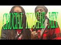 Deejay Sleek ||Crucial ||Aluta Reggae ||Mix Vol 2