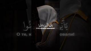 Чтец: Сальман Аль Утайби красивое чтение | Сура 66 Ат-Тахрим (Запрещение) Аят 6 #коран #quran