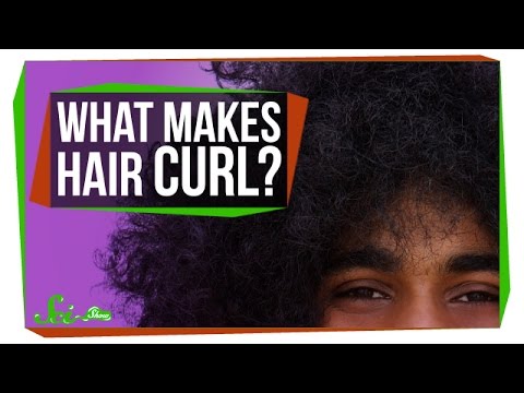 Video: Why Does Hair Curl