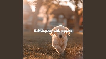 Dashing Ambiance for Cute Hope