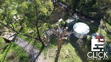 Starlink Installation: Tree Addition. When one of the obstructions becomes the Starlink mount.