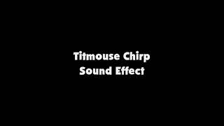Titmouse Chirp SFX