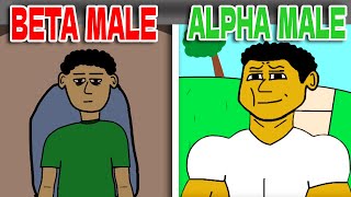 Beta Male to Alpha Male Transformation (Animation)