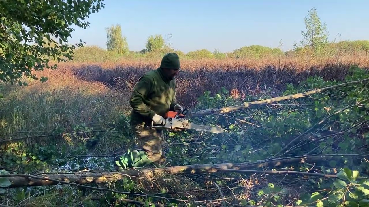 Лесорубы 1)  02.10.2021