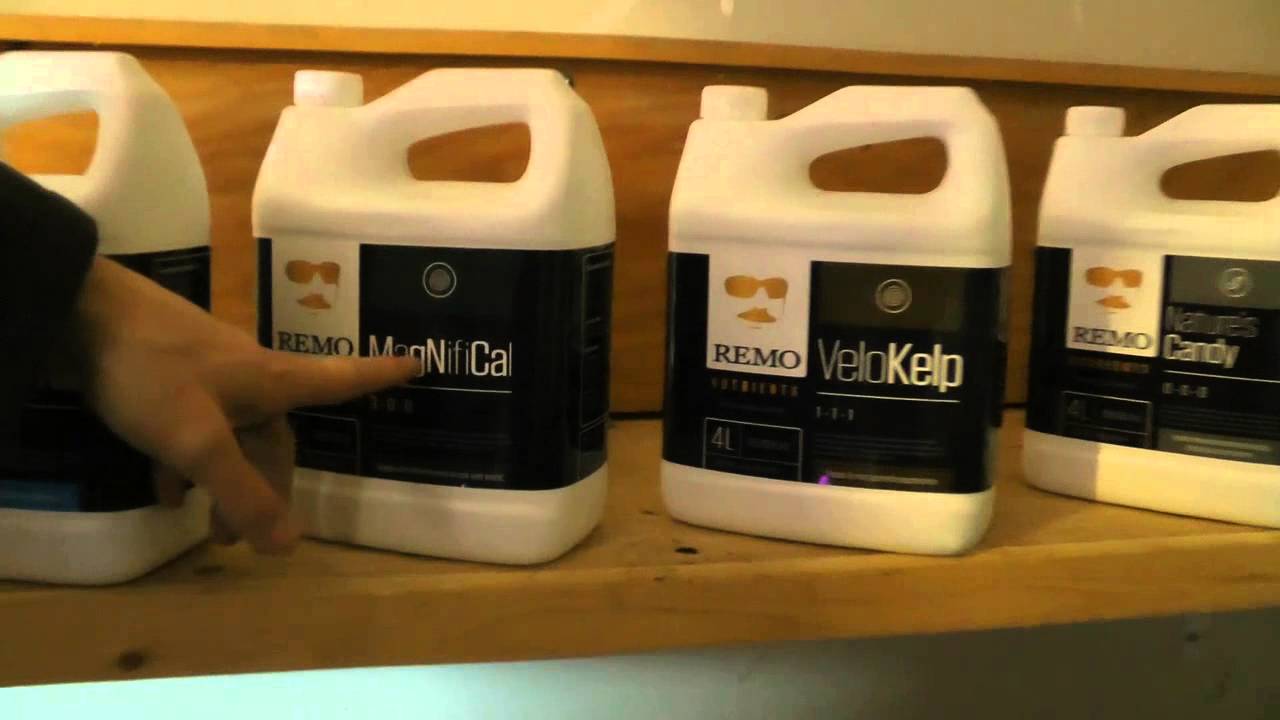 Lush LED Light & The Canadian Concentrate Open