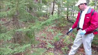 Modern Pest Services: View a Residential Tick Treatment