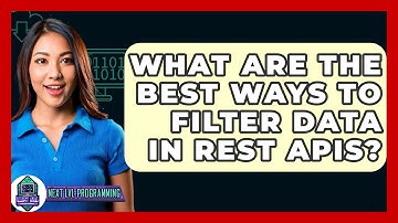 What Are The Best Ways To Filter Data In REST APIs? - Next LVL Programming