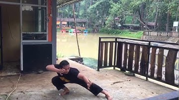 Jurus harimau (sancang)