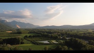 Vol Dji Mini 4K