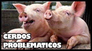 🤣 CHISTES CORTOS BUENOS 🤣