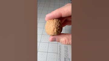 Will it Button? Squishy Silicone Walnut