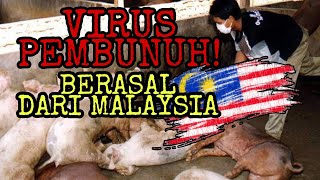 Virus Dari Malaysia  - Menyerang Otak Hingga Lumpuh! (VIRUS NIPAH)