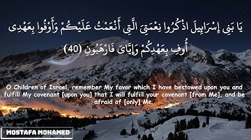 ياسر الدوسرى - سورة البقرة (38-48)