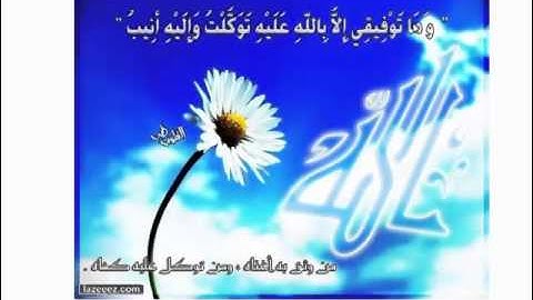 تلاوة جميلة للأخ أنس أبي حفص حفظه الله 1