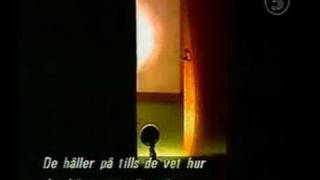 Tactical L.A.P.D. SWAT Training