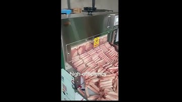 Automatic Frozen Lamb Beef Pork Meat Roll Cutter Slicer13 Inch