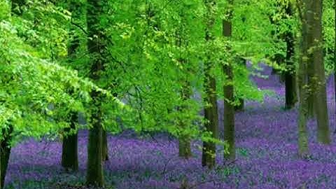 الشيخ عبد الباسط ما تيسر من سوره ص