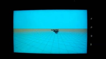 Checkpoint 003 : Vertex Skinning.mp4