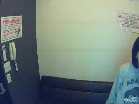 VALSHE／Butterfly Core【うたスキ動画】