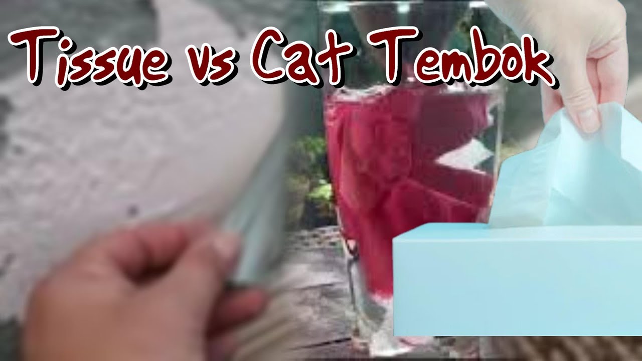  cara  tahu KUAT Cat  Tembok  terhadap CUACA cuma pake 