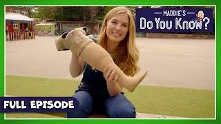 Prosthetic Leg & Detection Dogs | Maddie's Do You Know👩Series 2, Episode 23 | FULL EPISODE!