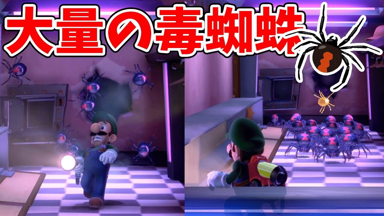 どうしてこうなった!?特定外来種のセアカゴケグモの大群に襲われた