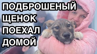 Спасение животных/ Щенок из мешка поехал домой