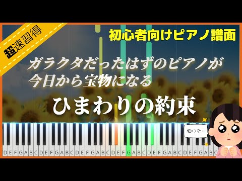 ピアノ初心者でもすぐ弾ける「ひまわりの約束／秦 基博」【簡単・短時間習得】