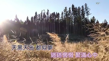 讓一切隨風 鍾鎮濤 (粵語) MV (Lyrics, KTV字幕)