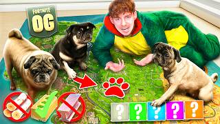 Thumbnail for Meine HUNDE entscheiden ALLES in OG FORTNITE! 😱🔥