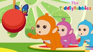 Tiddlytubbies 2D Series Episode 8 The Magical Erfly Teletubbies Babies Videos For Kids