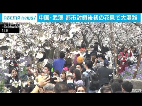 武漢で桜見頃　花見で大混雑  マスク外した人も・・・