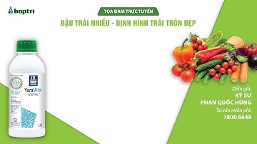 Tọa đàm trực tuyến: Đậu trái nhiều - Định hình trái tròn đẹp