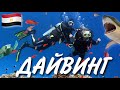 🇪🇬 #6 | Мой первый в жизни дайвинг 🤿 Красное море 🌊 Египет 2021