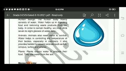 Grade 3 Evs Dated 05 10 2021